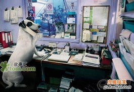 桑塔納 桑旅圖片集錦