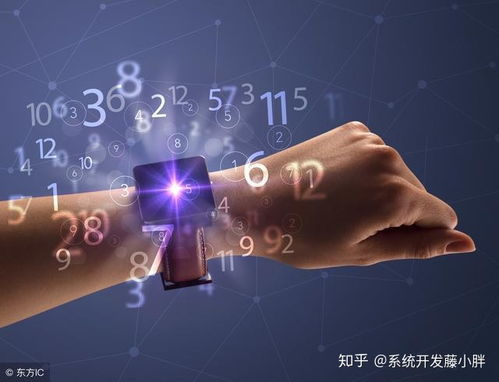 區(qū)塊鏈技術(shù)賦能 農(nóng)產(chǎn)品溯源系統(tǒng)的開(kāi)發(fā)與搭建