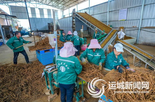 做強做優(yōu)龍頭企業(yè) 持續(xù)壯大產業(yè)集群